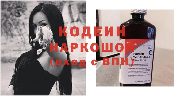 молекула духа Новодвинск