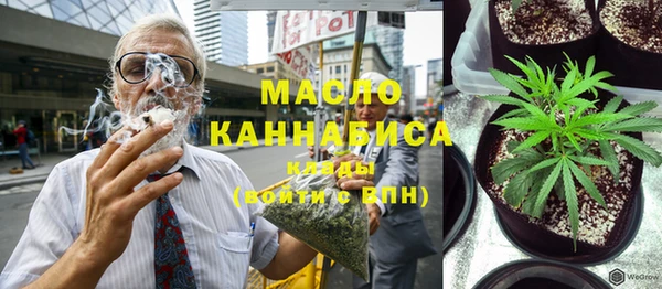 индика Новокубанск