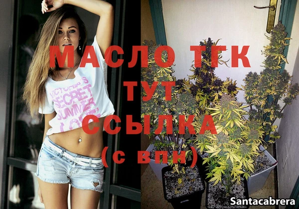 индика Новокубанск