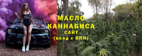 молекула духа Новодвинск