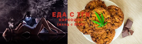 индика Новокубанск