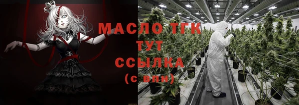 первитин Няндома