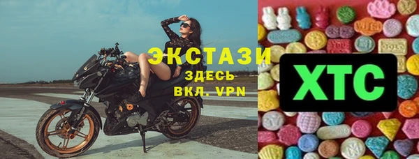 индика Новокубанск
