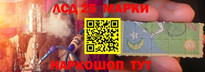 a pvp Камышлов