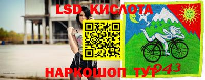 a pvp Камышлов