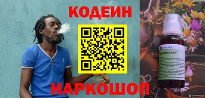 a pvp Камышлов