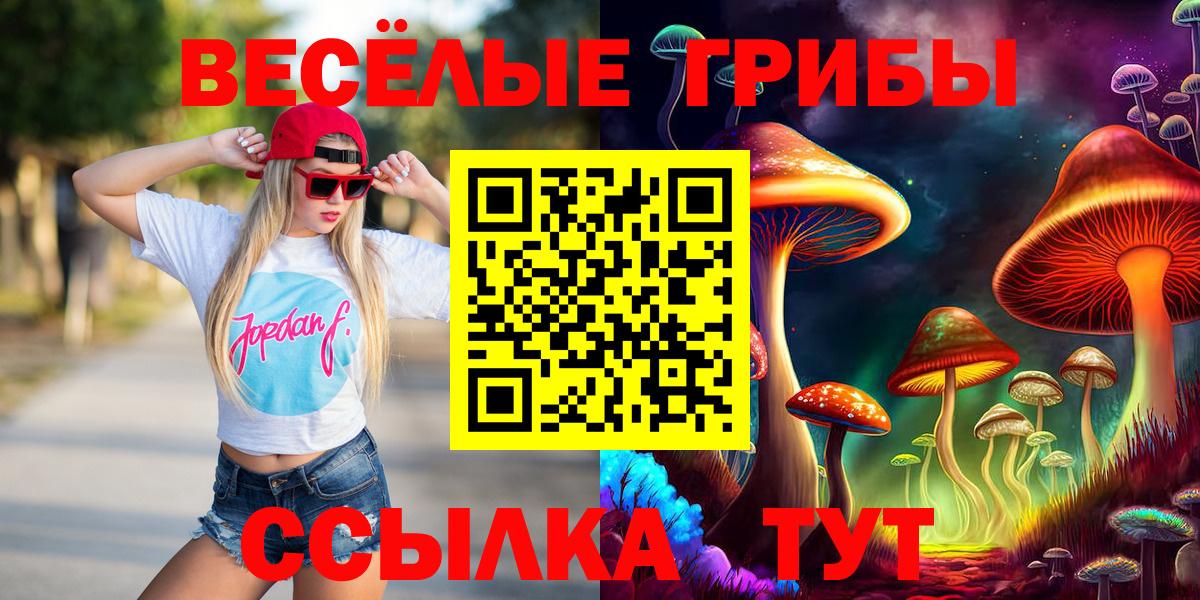 Псилоцибиновые грибы GOLDEN TEACHER  купить   Галлюциногенные грибы Psilocybine cubensis  Переславль-Залесский 