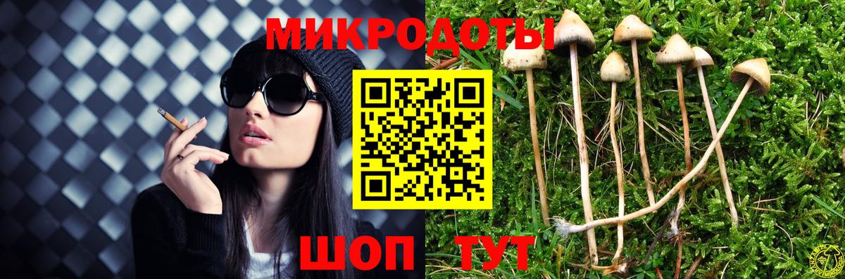 Галлюциногенные грибы Psilocybe Переславль-Залесский